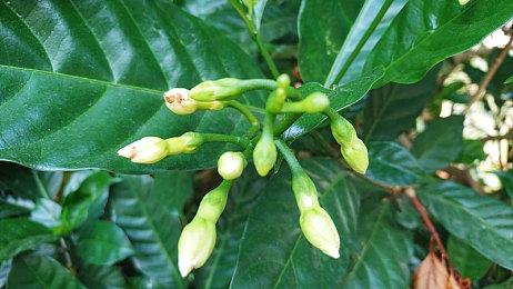 XboxOne手柄获固件升级 解锁新手柄两项功能