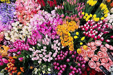 《寂静岭f》全新预告 今年9月25日发售